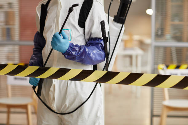 Professional Infectious Disease Decontamination technician working in Bainbridge Island, WA